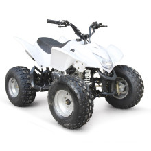 ДЕШЕВЫЕ QUAD EPA ATV ГОНКИ 110CC